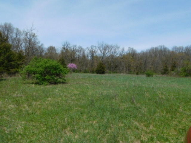 1935 Walton Road Niles, MI 49120 - Photo 26 of 36 2017-04-24 14.16.03