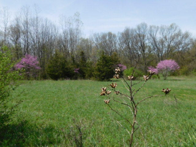 1935 Walton Road Niles, MI 49120 - Photo 27 of 36 2017-04-24 14.16.33
