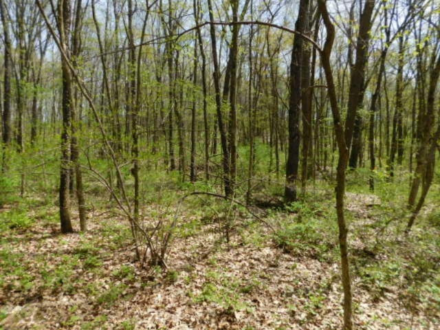 1935 Walton Road Niles, MI 49120 - Photo 29 of 36 2017-04-24 14.18.43