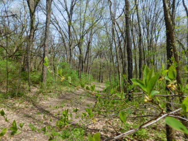 1935 Walton Road Niles, MI 49120 - Photo 30 of 36 2017-04-24 14.18.55