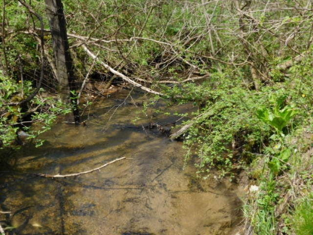 1935 Walton Road Niles, MI 49120 - Photo 32 of 36 2017-04-24 14.20.37