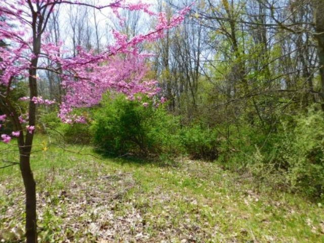 1935 Walton Road Niles, MI 49120 - Photo 10 of 36 2017-04-24 14.08.45