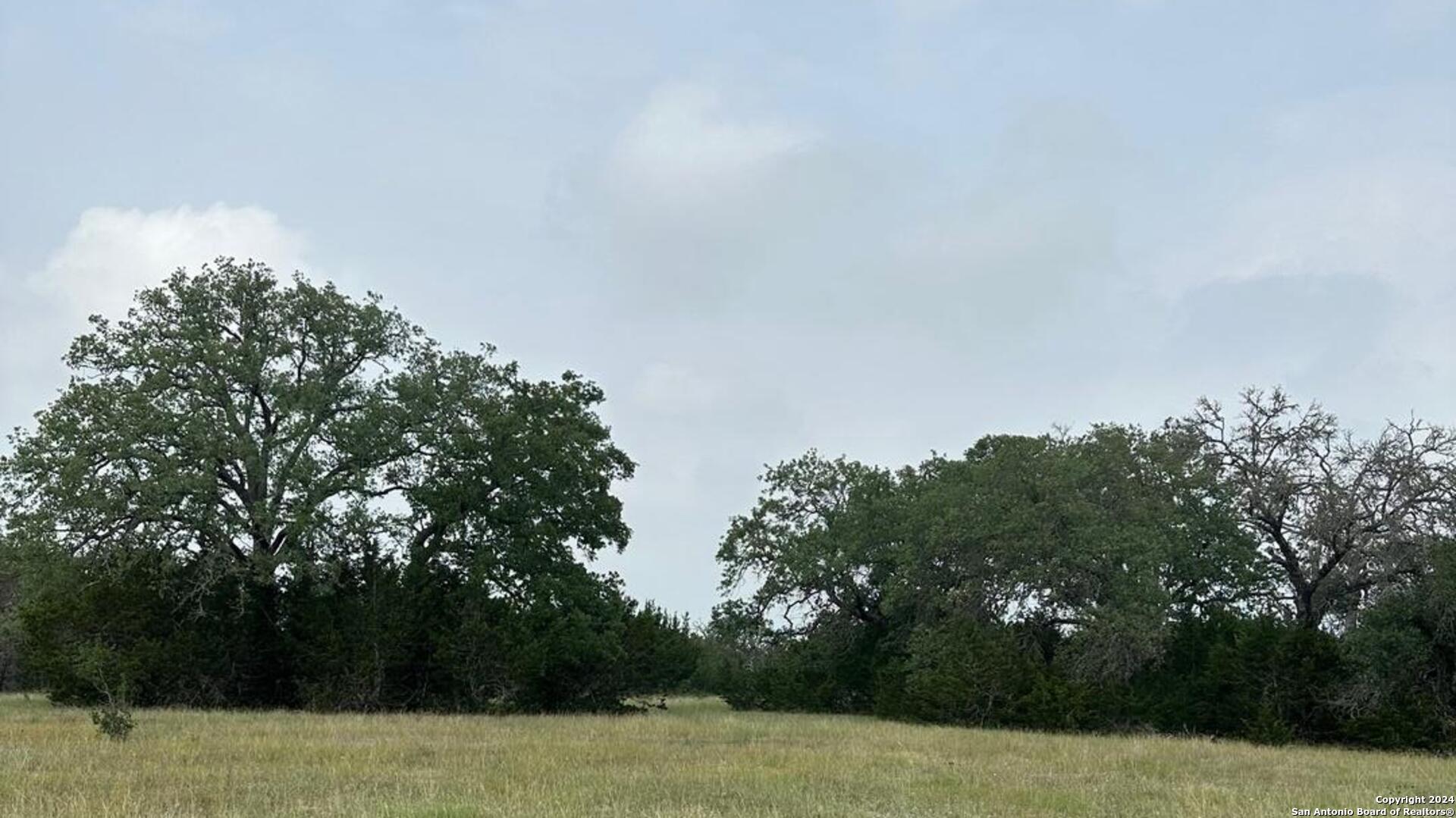 6989 Highway 16 Bandera, TX 78003 - Photo 4 of 8