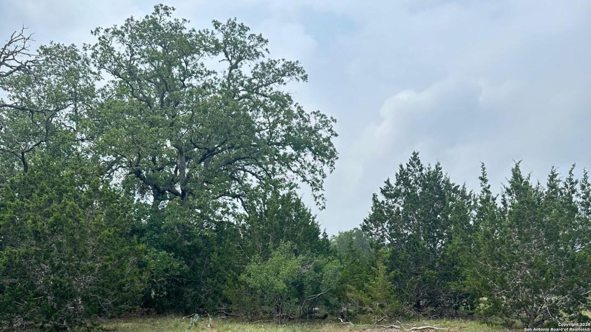 6989 Highway 16 Bandera, TX 78003 - Photo 5 of 8