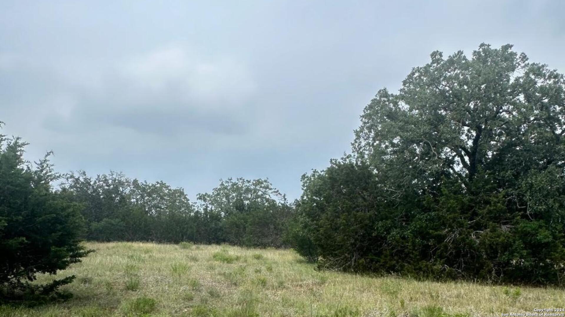6989 Highway 16 Bandera, TX 78003 - Photo 7 of 8