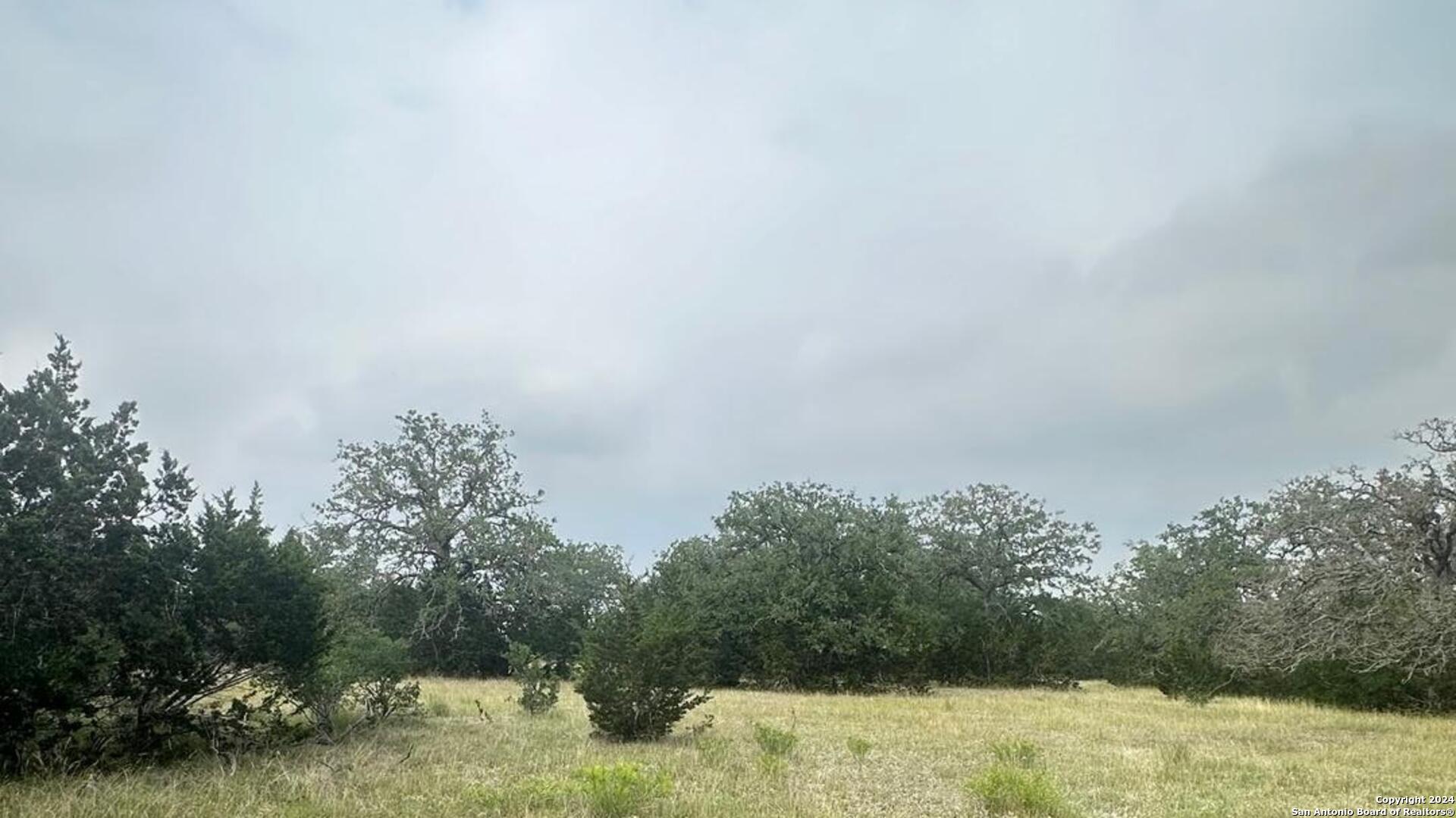 6989 Highway 16 Bandera, TX 78003 - Photo 8 of 8