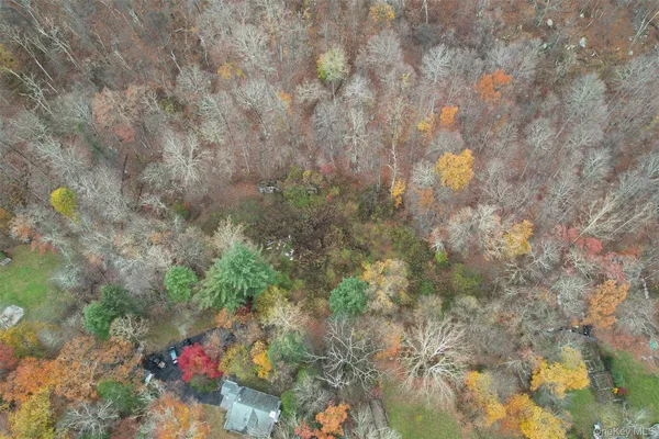 a view of a bunch of flowers in a garden