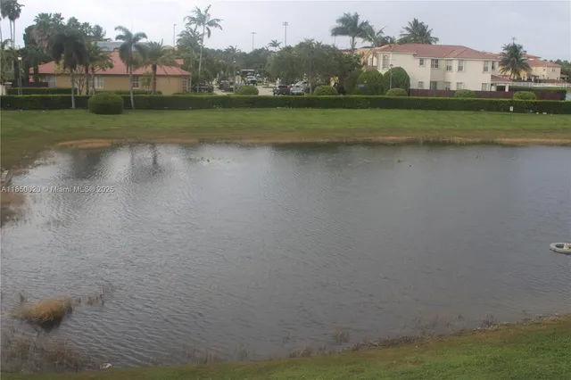 a view of a yard with palm trees