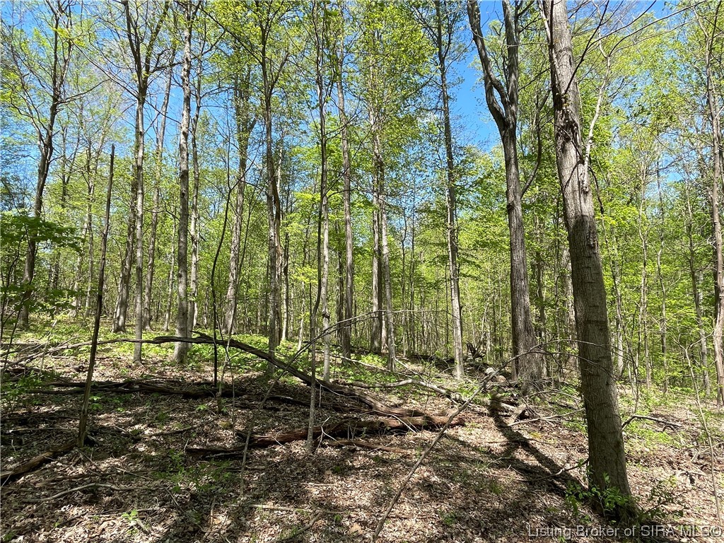 7104 East Pierce Road Milltown, IN 47145 - Photo 24 of 33
