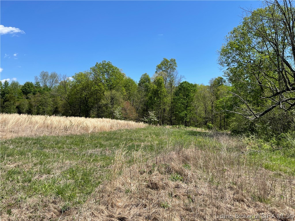 7104 East Pierce Road Milltown, IN 47145 - Photo 9 of 33