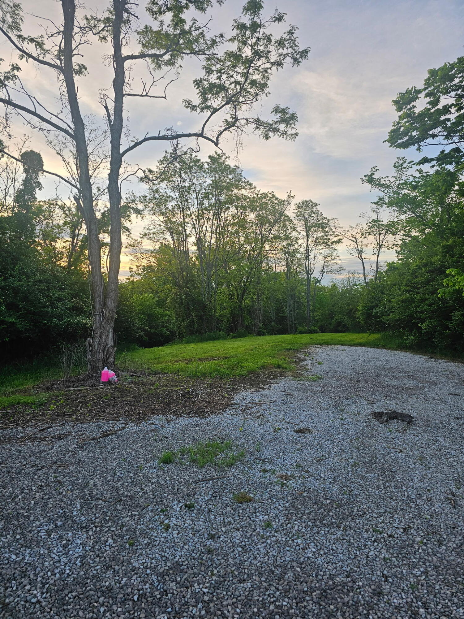 1 A Saltwell Road Carlisle, KY 40311 - Photo 3 of 26 7692495517207011303