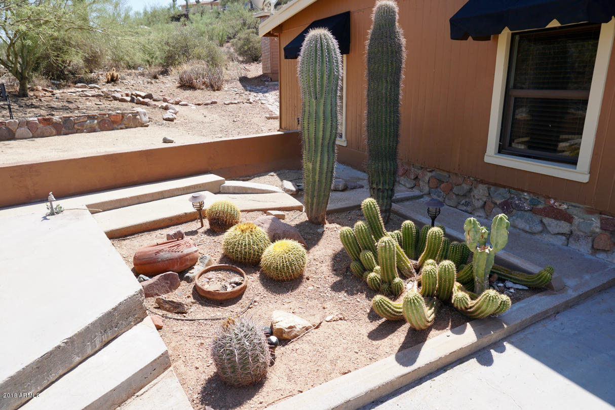 47010 North Meander Road New River, AZ 85087 - Photo 3 of 78 DSC01712
