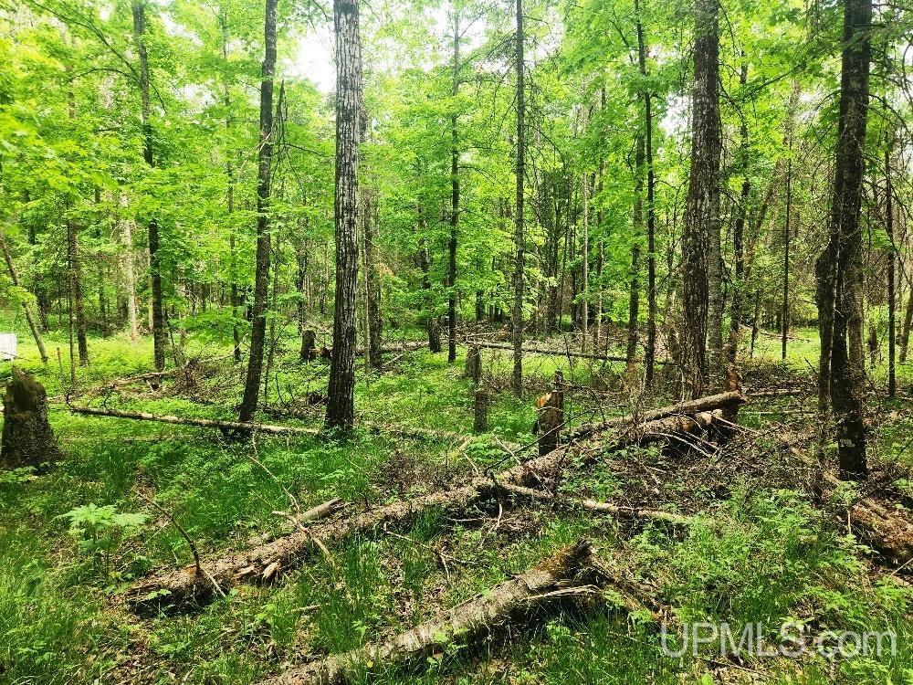 Lot 5 Wilderness Way Road Crystal Falls, MI 49920 - Photo 9 of 25