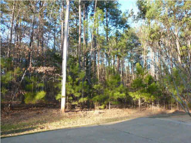 113 Cedar Ridge Drive Canton, MS 39046 - Photo 16 of 19 Photo 16