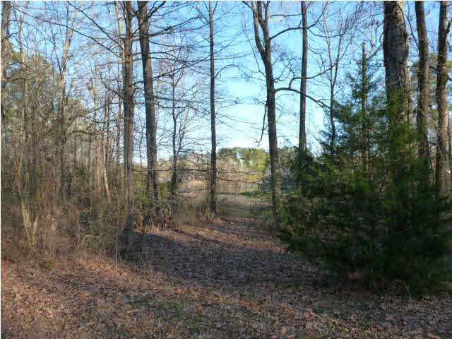113 Cedar Ridge Drive Canton, MS 39046 - Photo 19 of 19 Photo 19