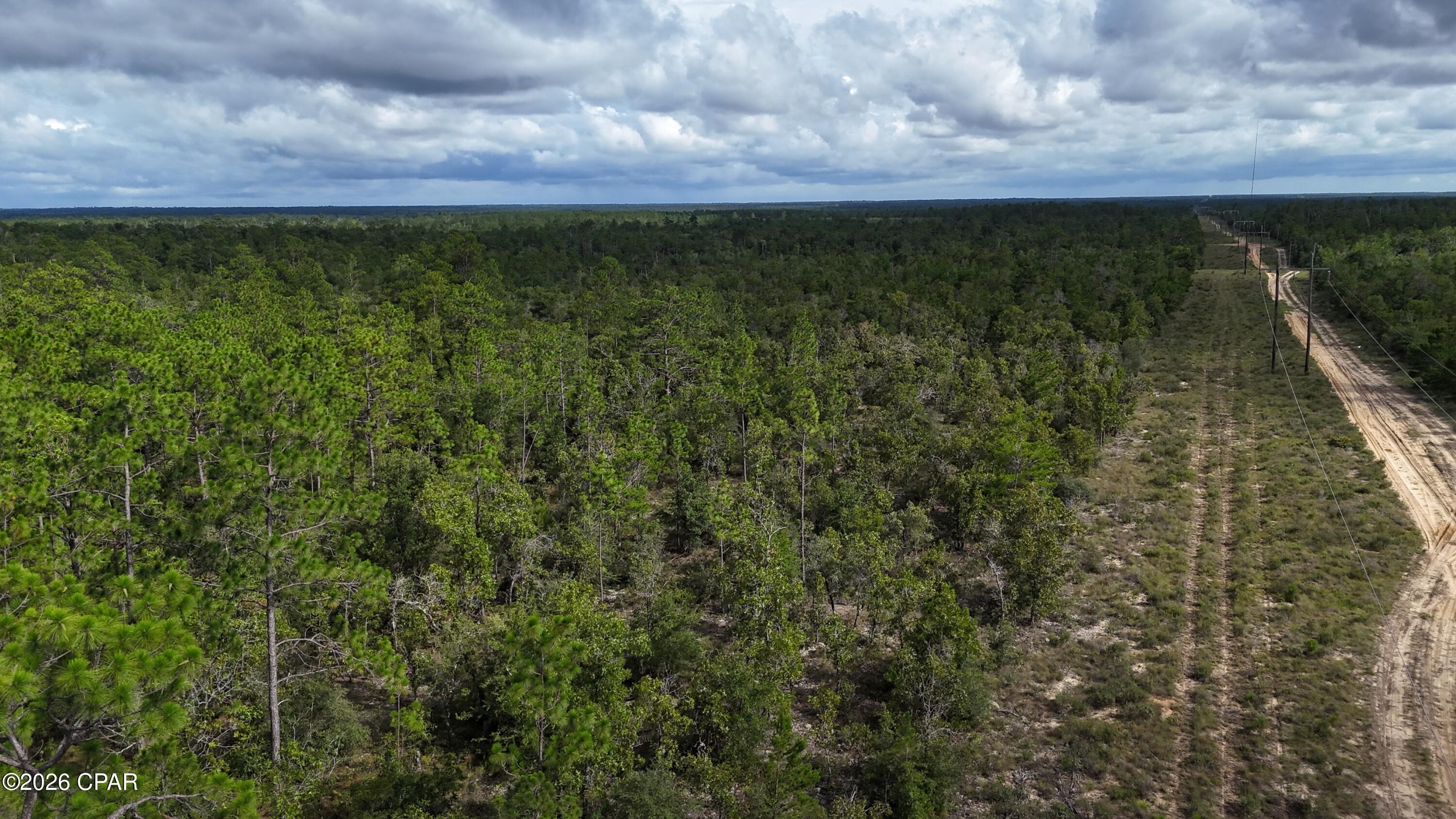 0 Fox Hunt Road Chipley, FL 32428 - Photo 10 of 13
