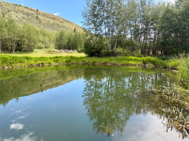 1133 Paris Canyon Road Paris, ID 83261 - Photo 49 of 75 Tranquil pond reflecting surrounding trees and clear skies
