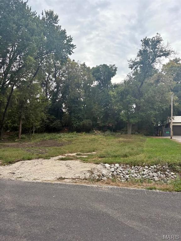 0 Elm Street Collinsville, IL 62234 - Photo 3 of 7