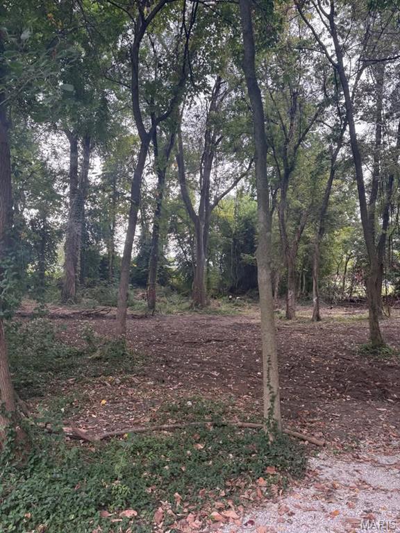 0 Elm Street Collinsville, IL 62234 - Photo 4 of 7