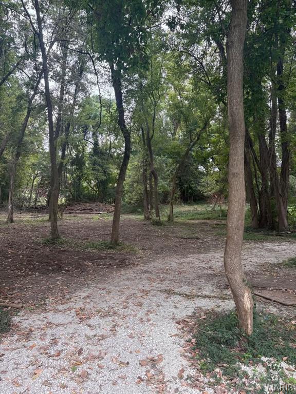 0 Elm Street Collinsville, IL 62234 - Photo 5 of 7