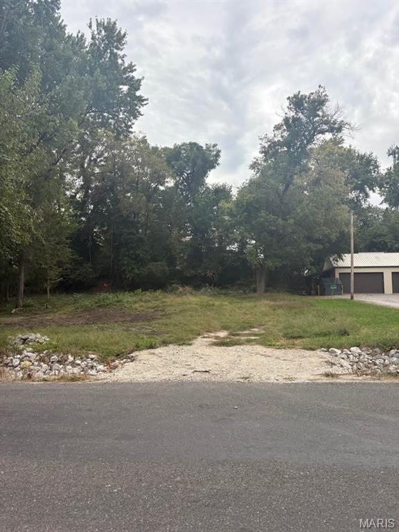 0 Elm Street Collinsville, IL 62234 - Photo 7 of 7