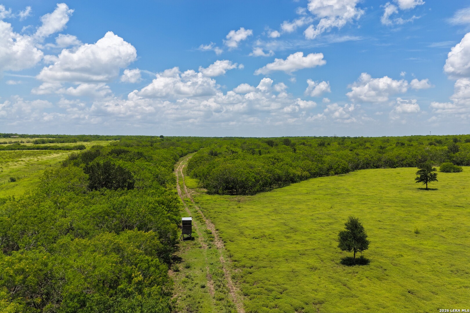 2249 Long Road Lockhart, TX 78644 - Photo 13 of 32