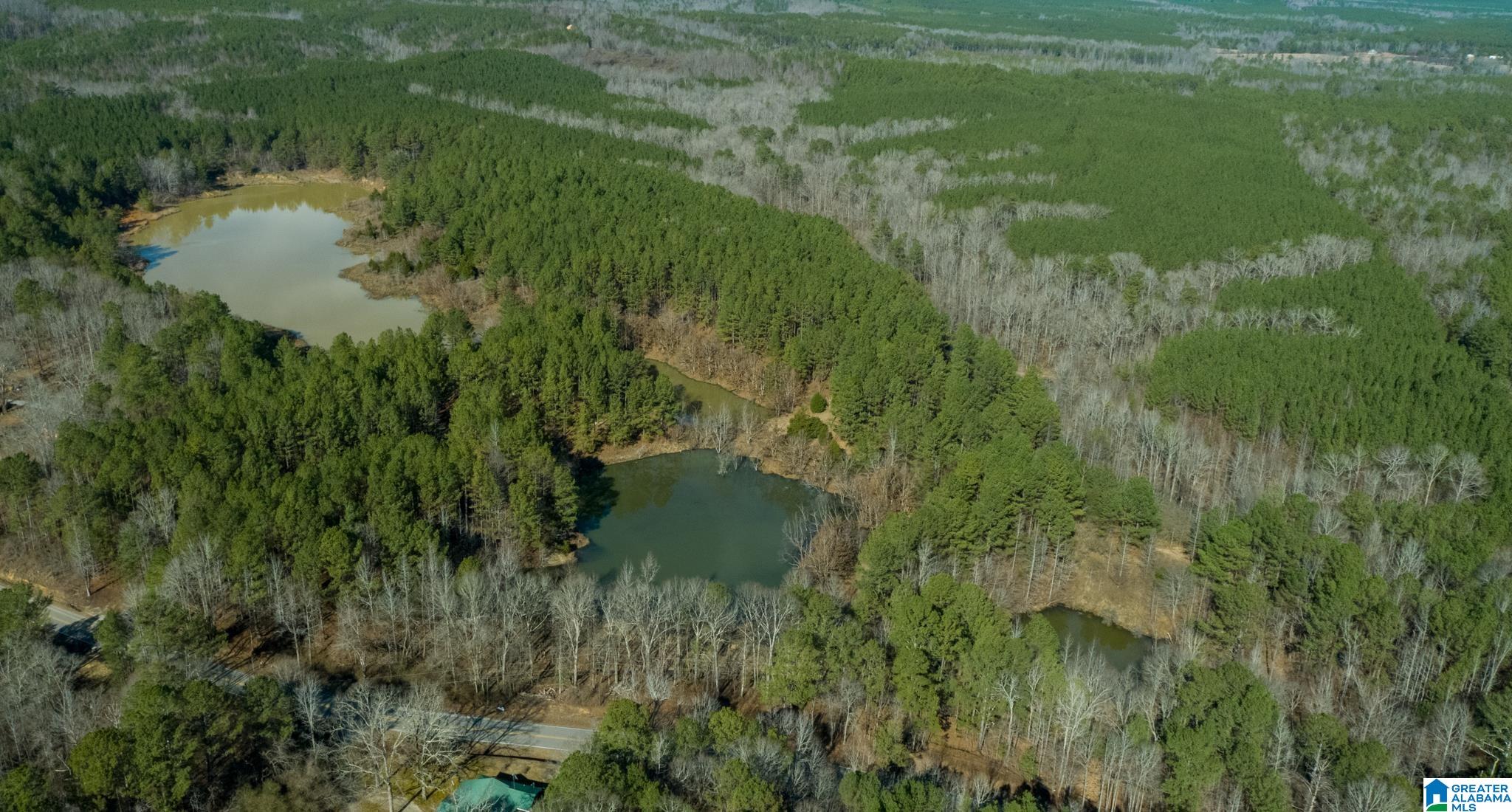 44 County Road, Unit 1 Brilliant, AL 35548 - Photo 2 of 10