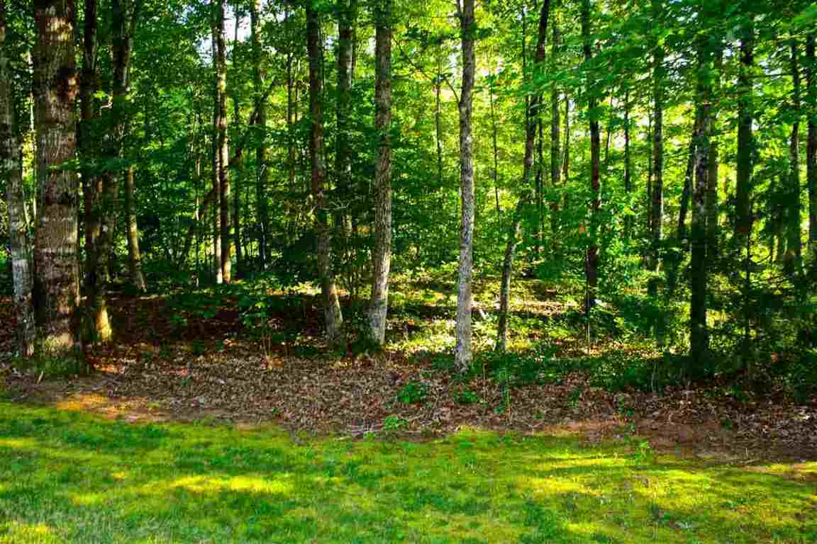585 Pine Mountain Road Tamassee, SC 29686 - Photo 7 of 36 Gallery Image 7