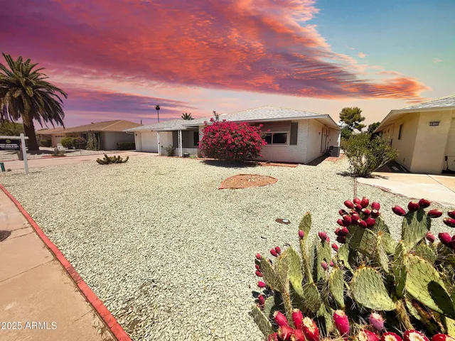 a view of a backyard with a potted plant