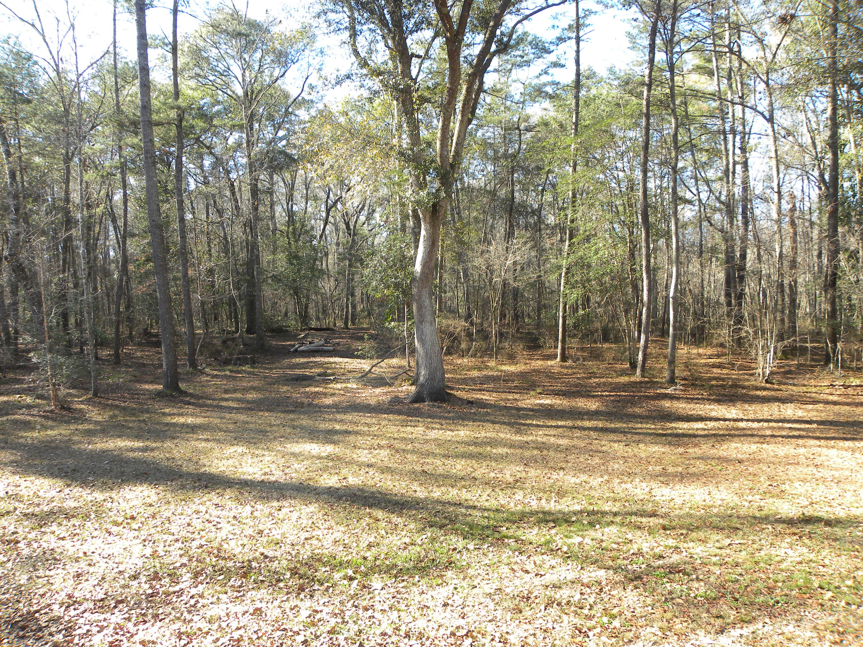 394 Crabapple Lane Ridgeville, SC 29472 - Photo 11 of 21 DSCN6080