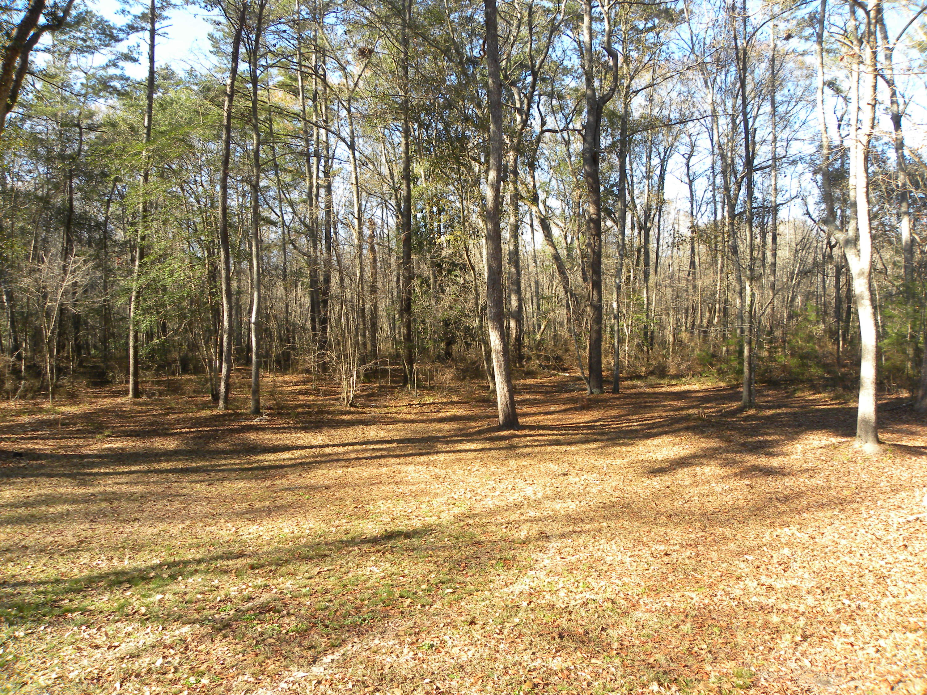 394 Crabapple Lane Ridgeville, SC 29472 - Photo 12 of 21 DSCN6081