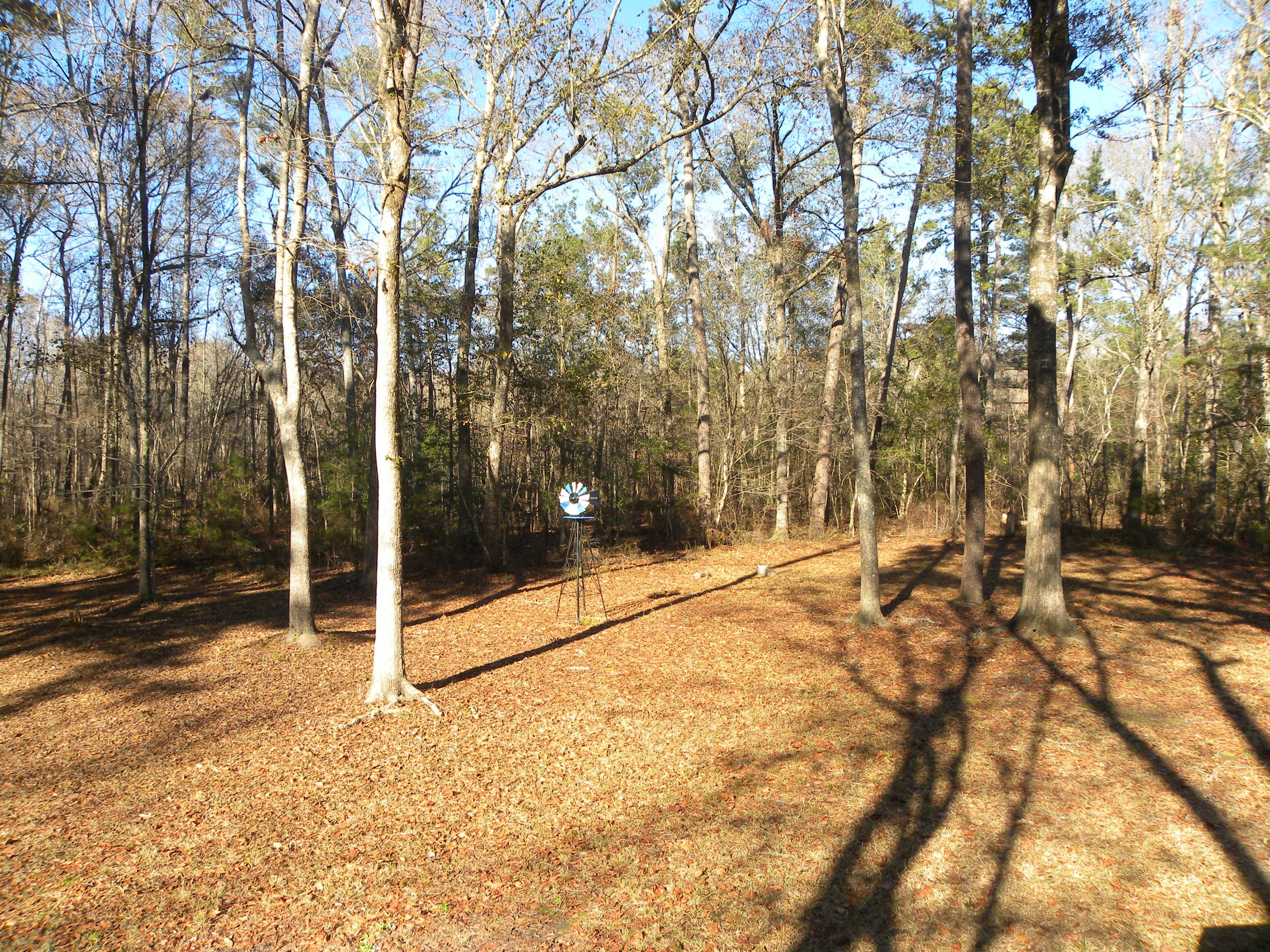 394 Crabapple Lane Ridgeville, SC 29472 - Photo 13 of 21 DSCN6082