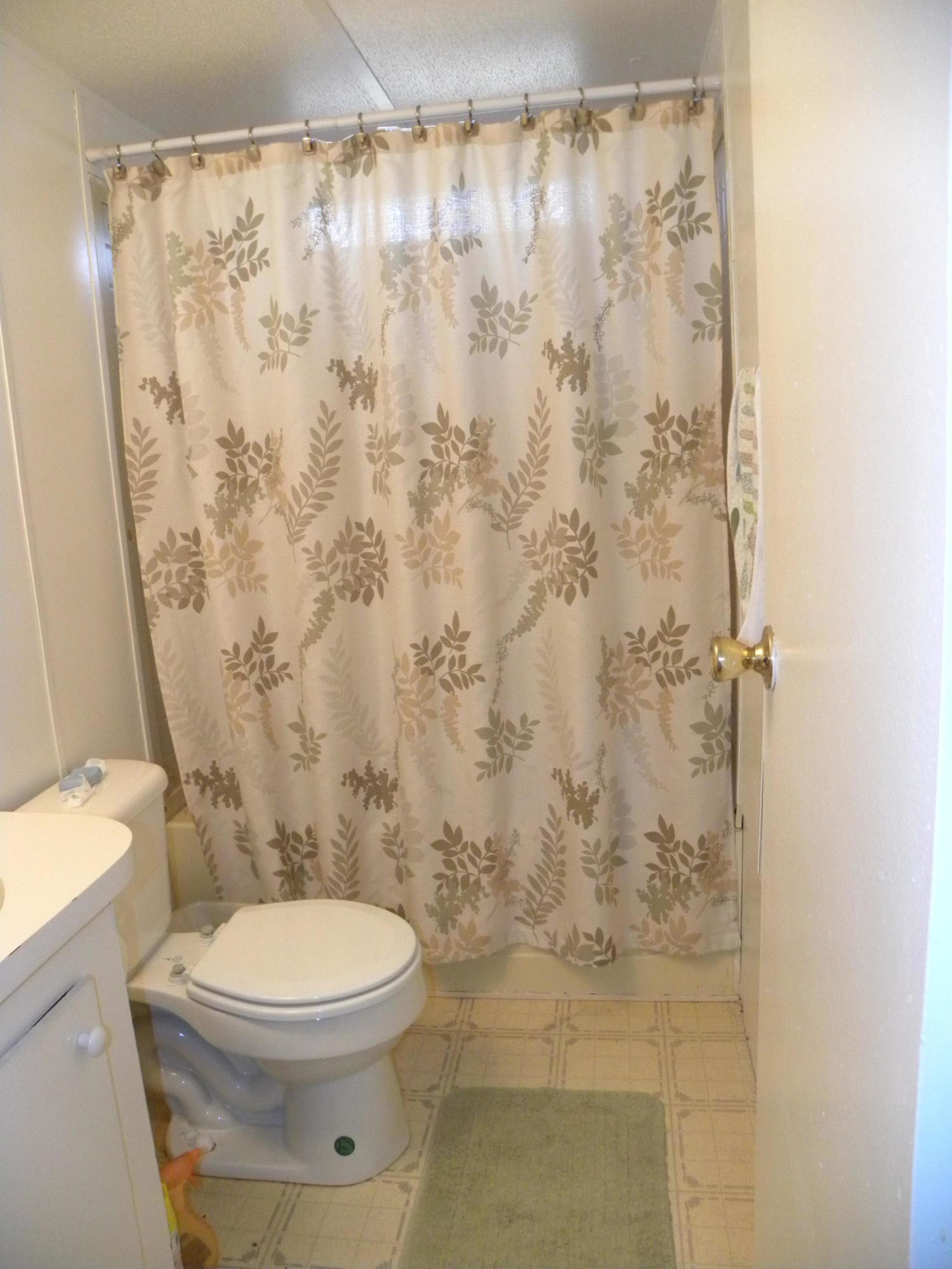 394 Crabapple Lane Ridgeville, SC 29472 - Photo 20 of 21 DSCN6093