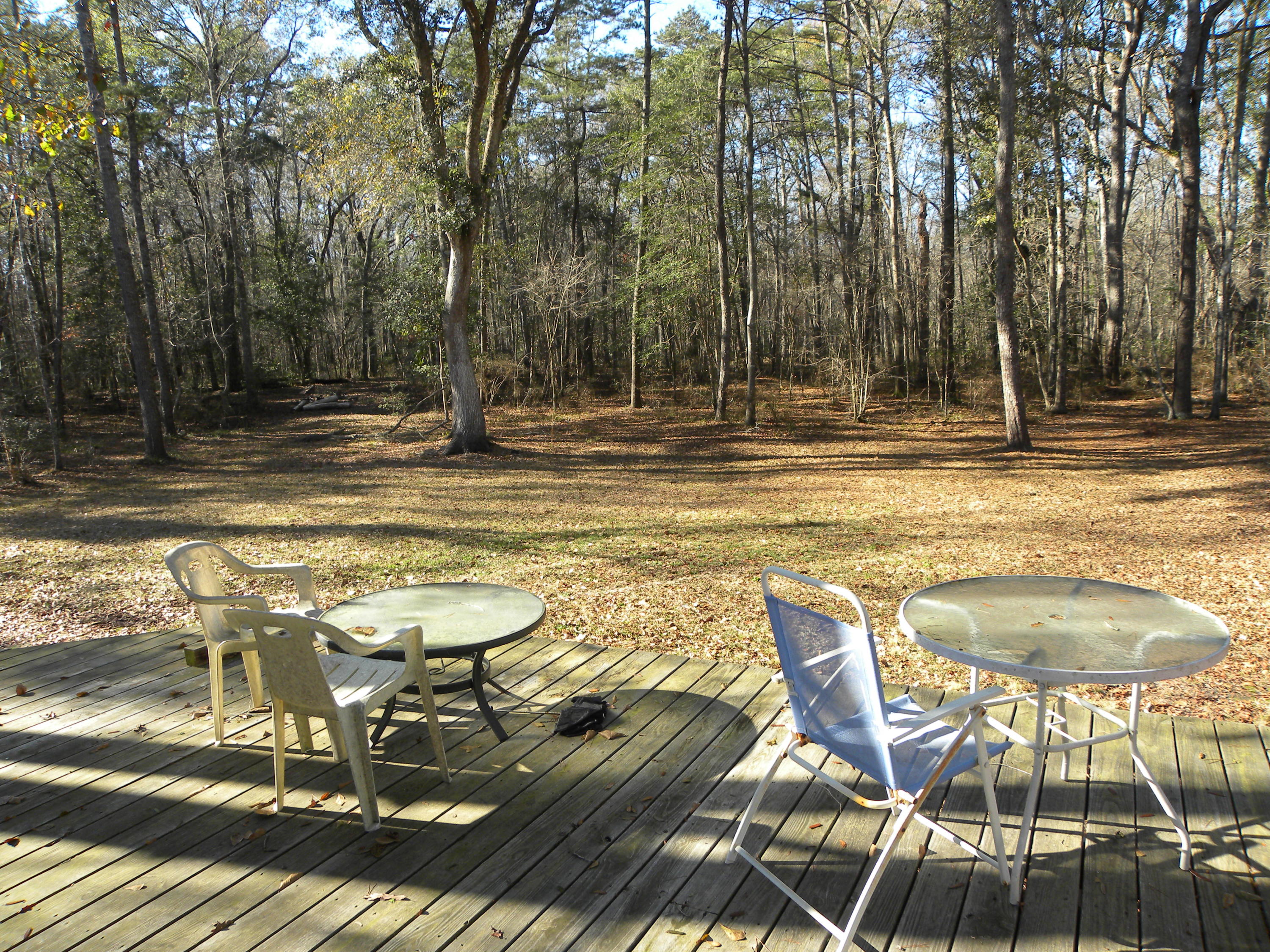 394 Crabapple Lane Ridgeville, SC 29472 - Photo 5 of 21 DSCN6084