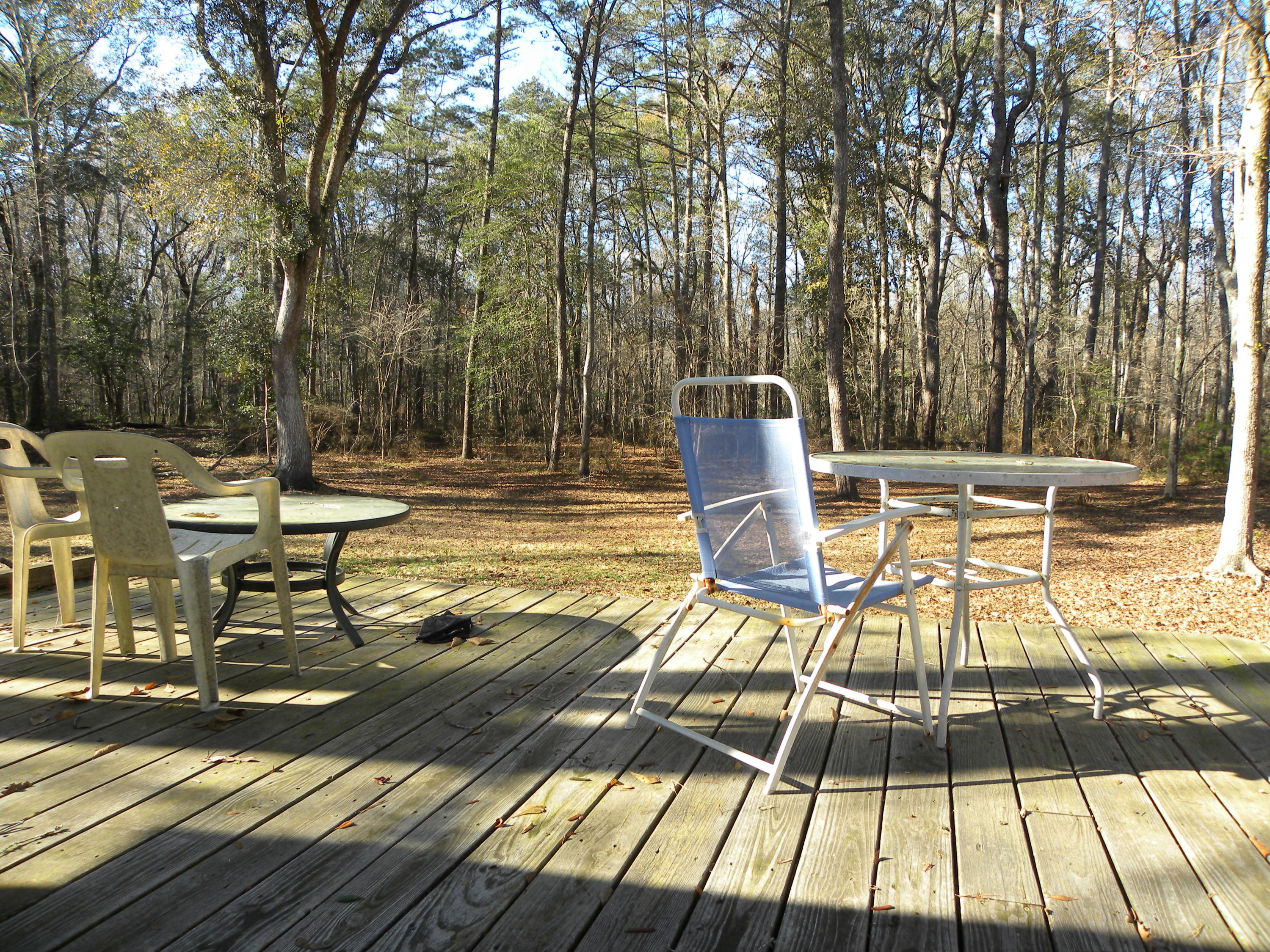 394 Crabapple Lane Ridgeville, SC 29472 - Photo 6 of 21 DSCN6085
