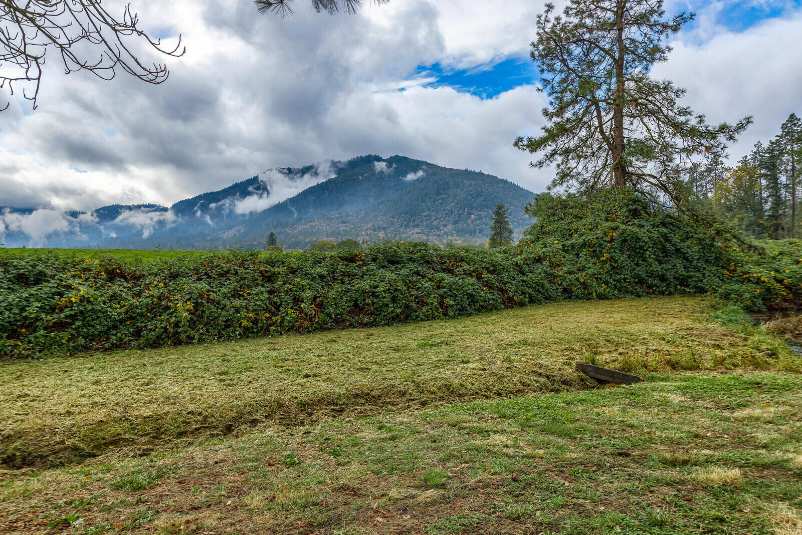 5990 New Hope Road Grants Pass, OR 97527 - Photo 55 of 58 16_NHR_16_mls