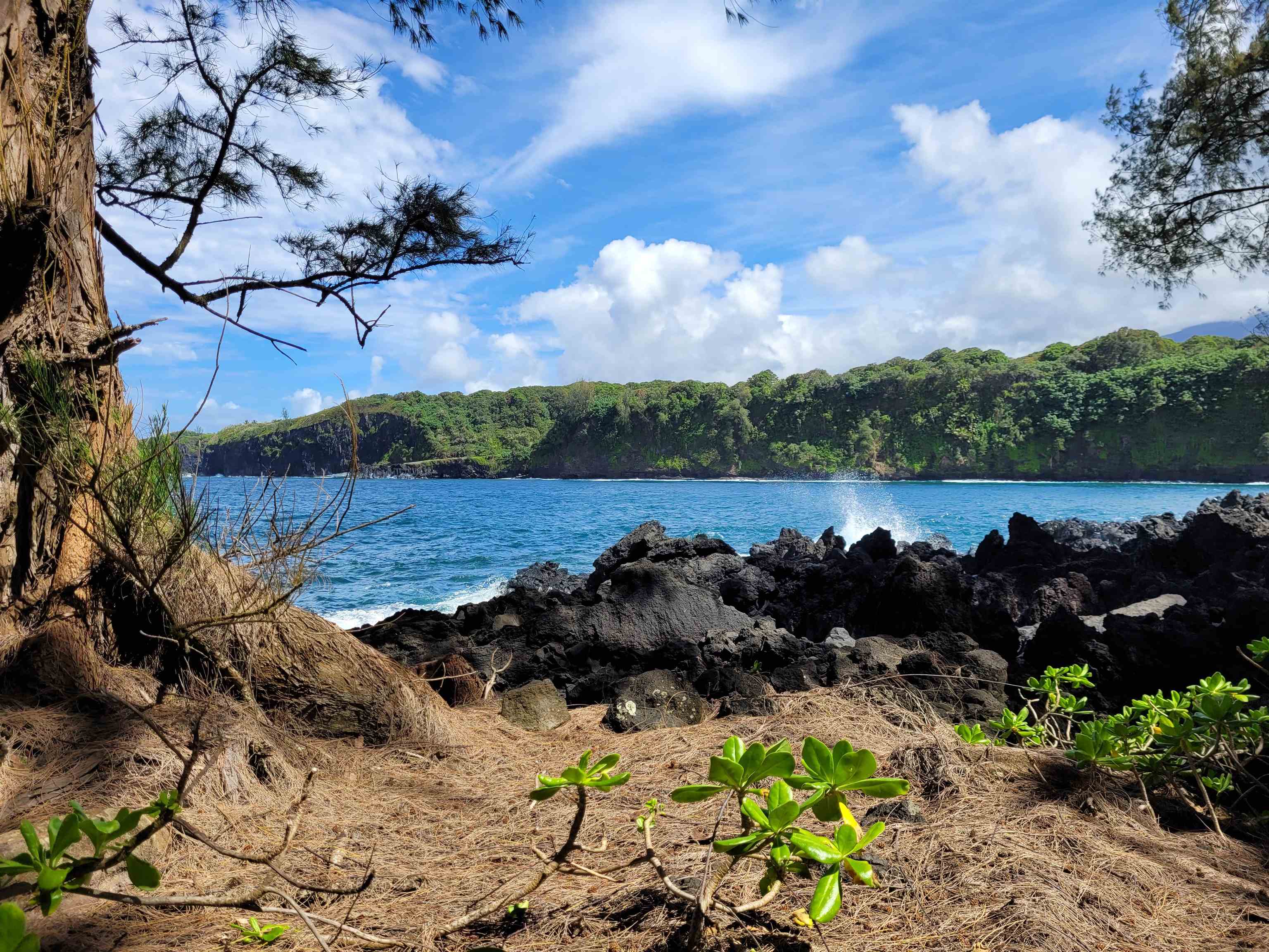 Keanae Road, Unit 12 Hana, HI 96713 - Photo 1 of 50