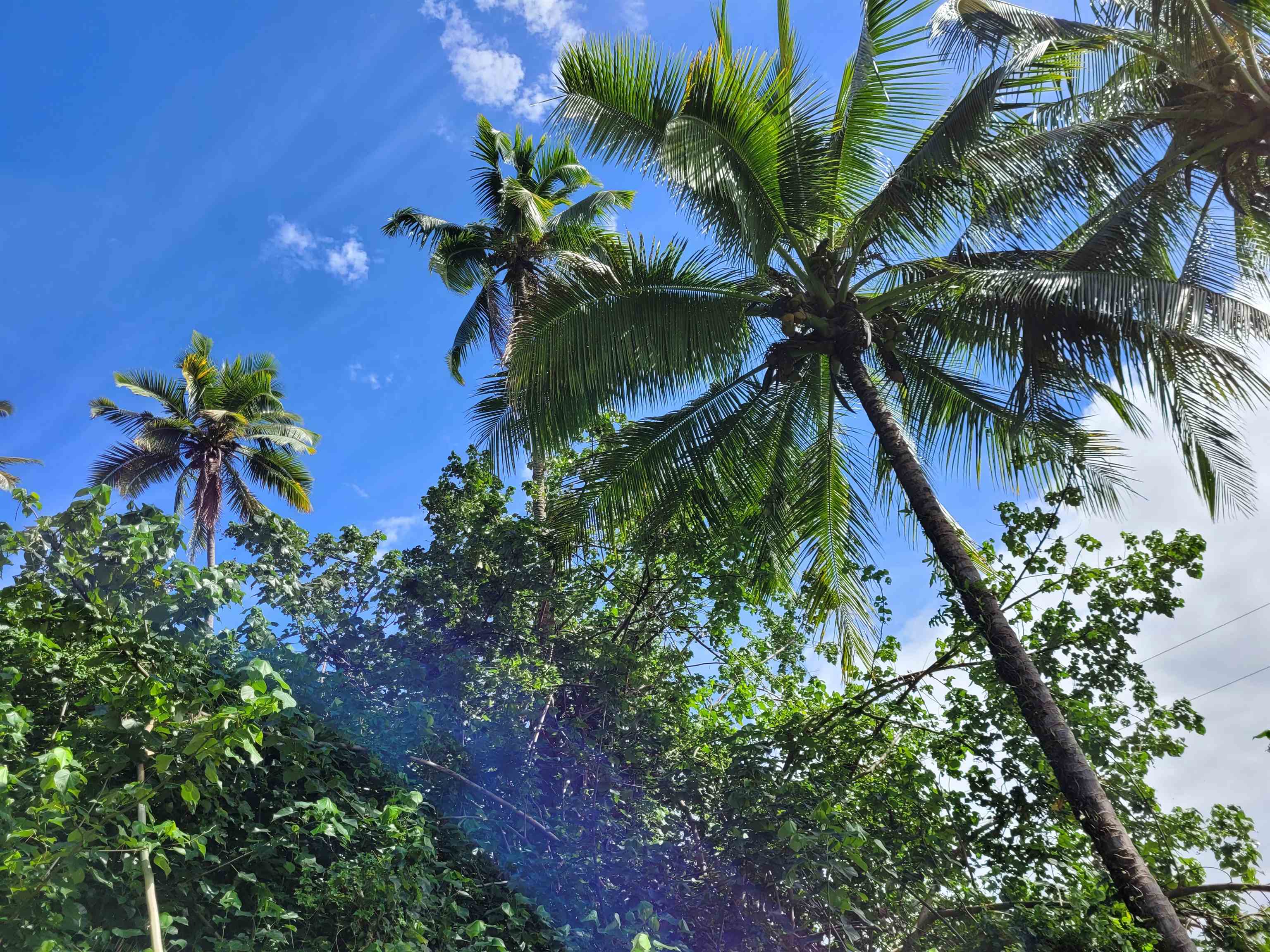 Keanae Road, Unit 12 Hana, HI 96713 - Photo 11 of 50