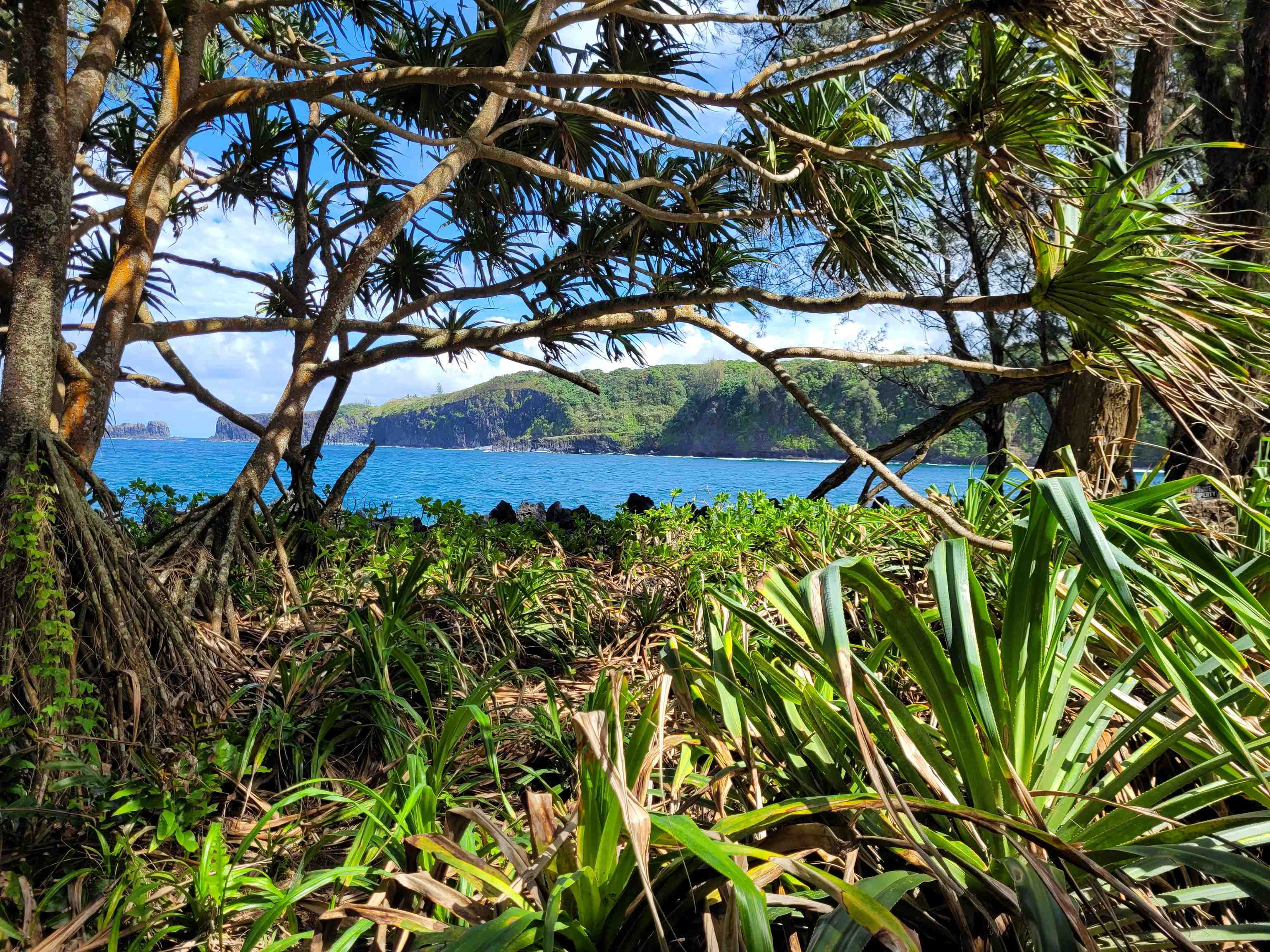 Keanae Road, Unit 12 Hana, HI 96713 - Photo 15 of 50