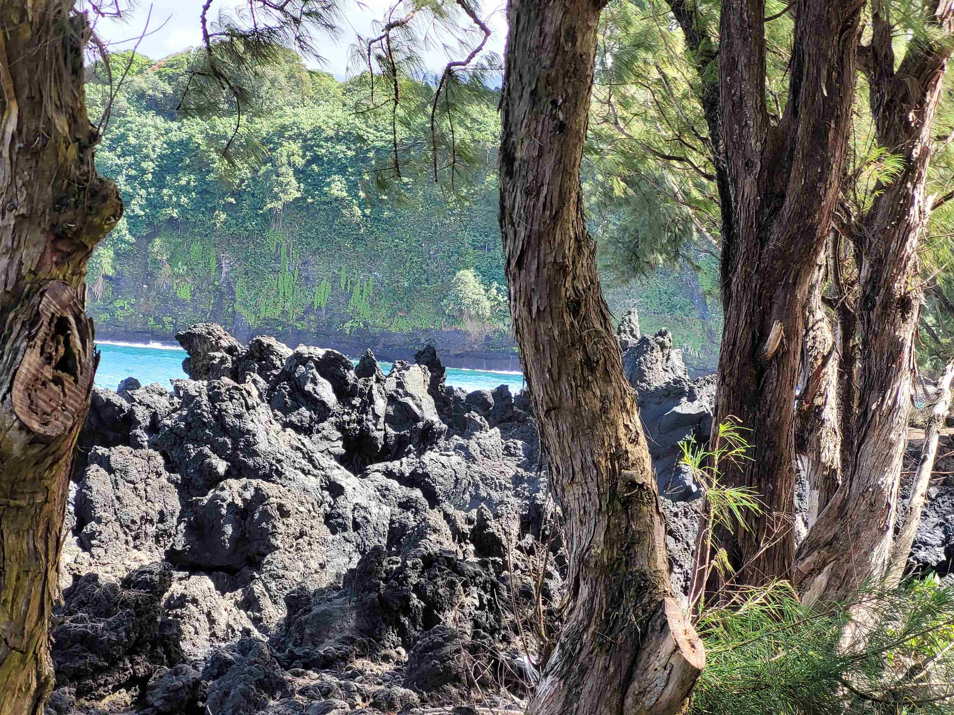 Keanae Road, Unit 12 Hana, HI 96713 - Photo 18 of 50