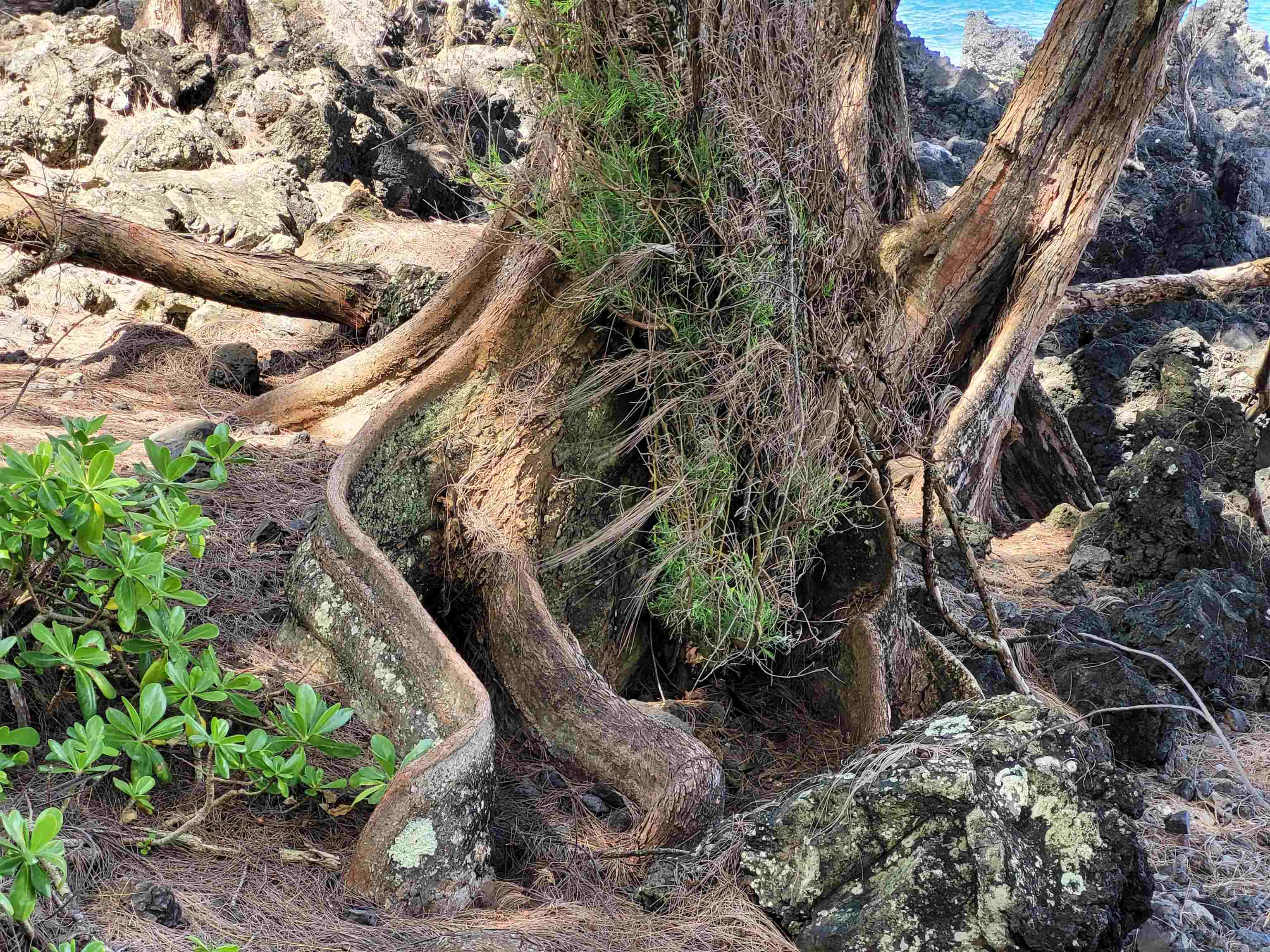 Keanae Road, Unit 12 Hana, HI 96713 - Photo 19 of 50