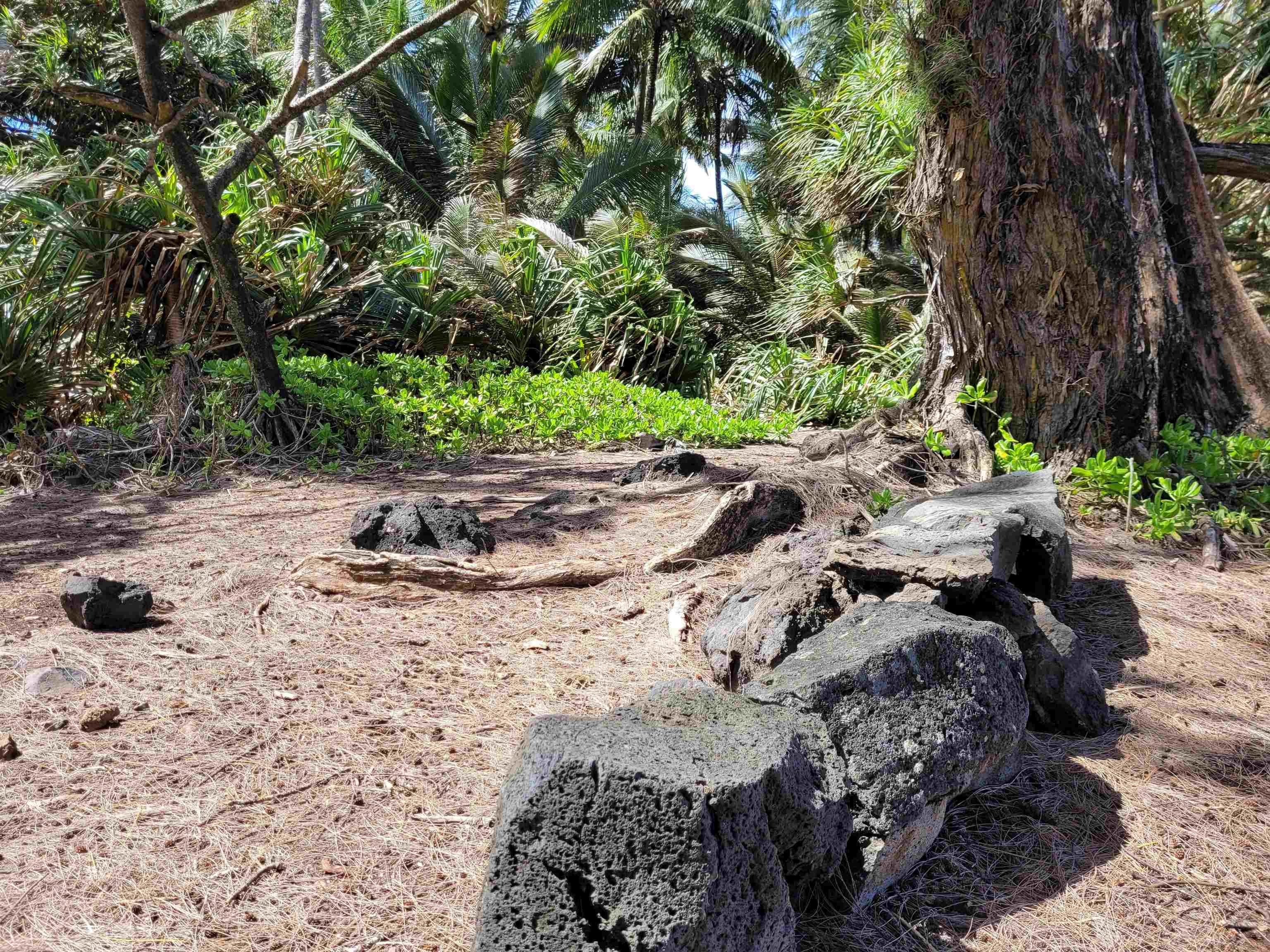 Keanae Road, Unit 12 Hana, HI 96713 - Photo 26 of 50