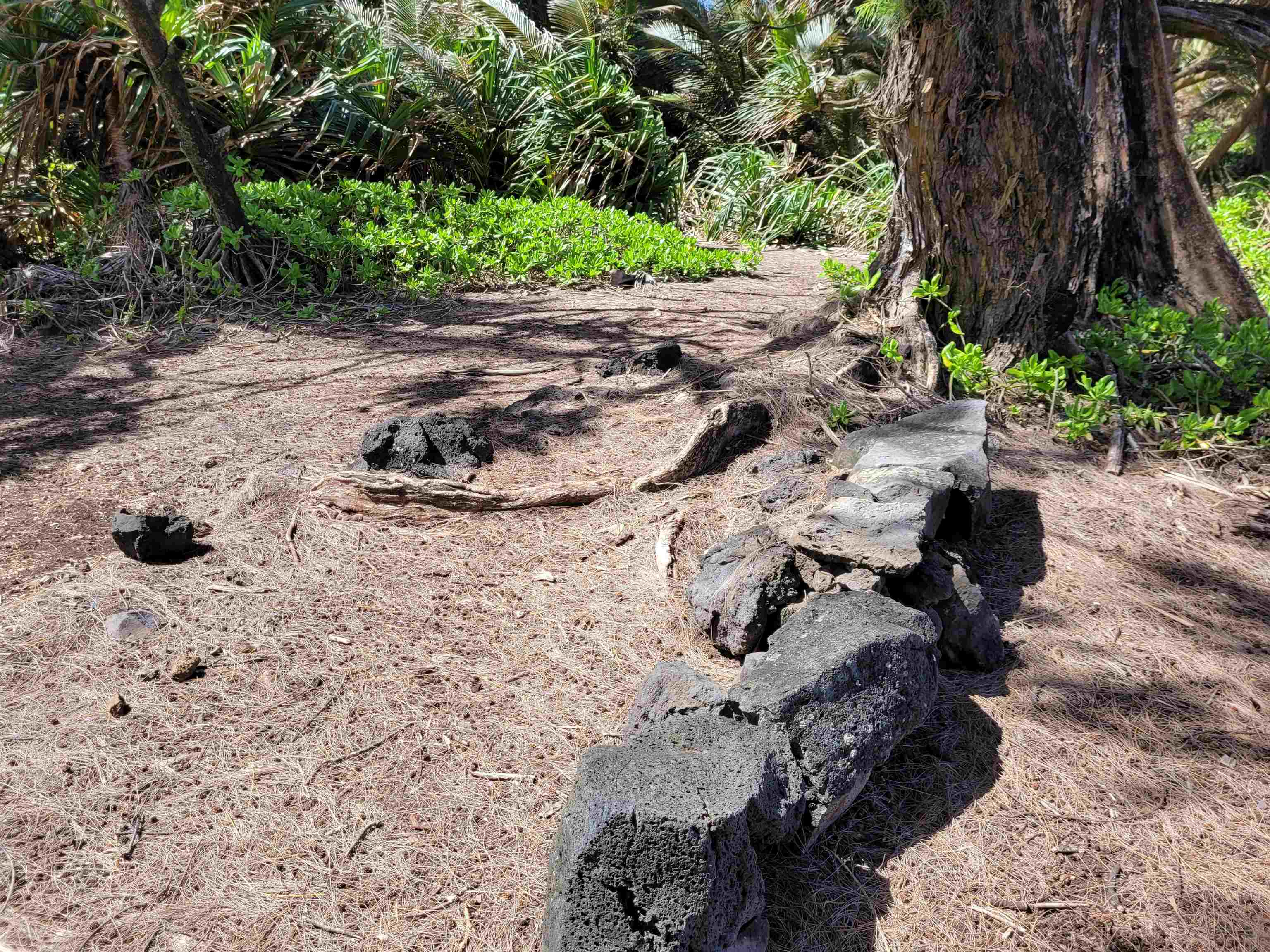 Keanae Road, Unit 12 Hana, HI 96713 - Photo 29 of 50