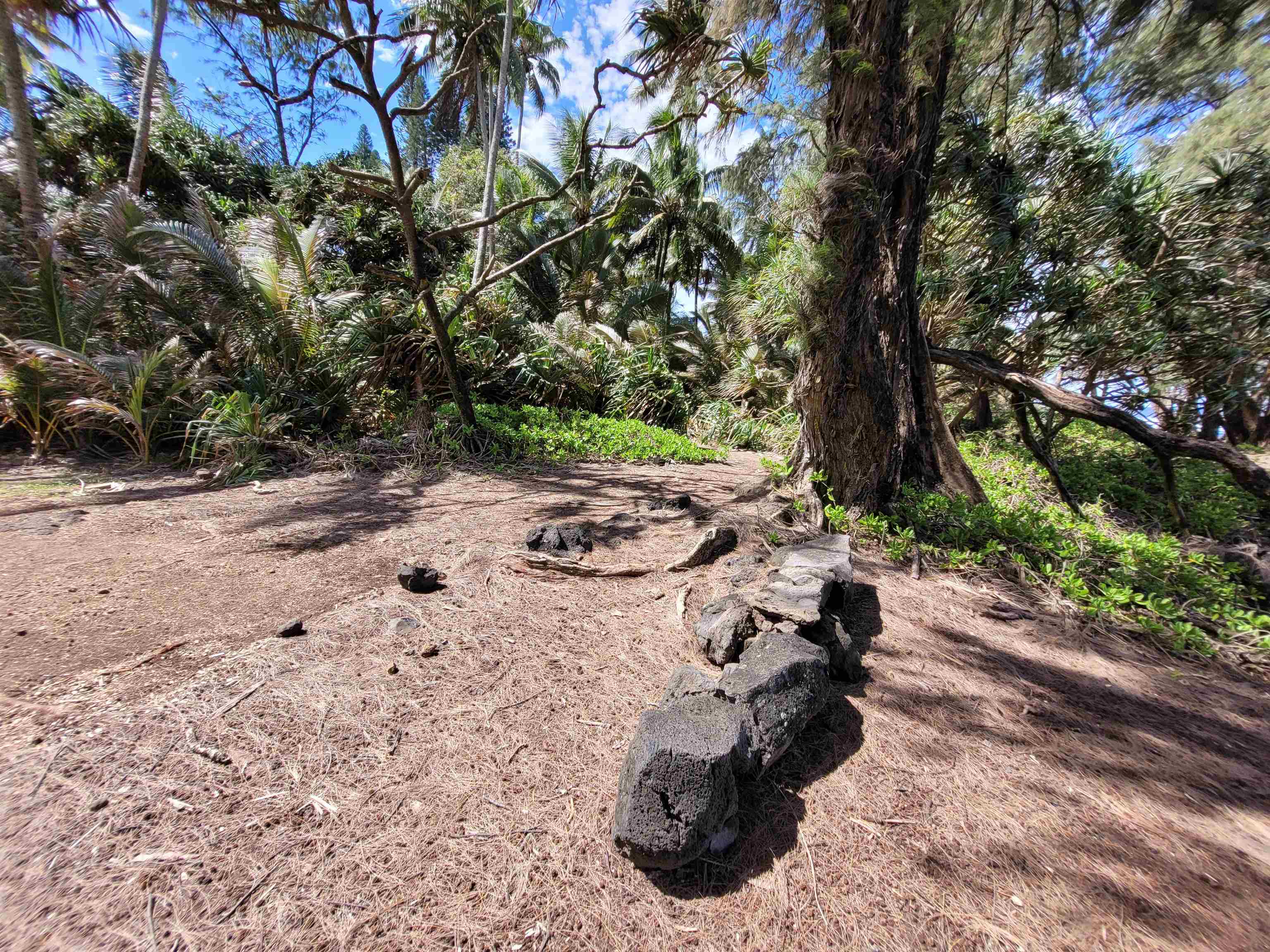 Keanae Road, Unit 12 Hana, HI 96713 - Photo 31 of 50