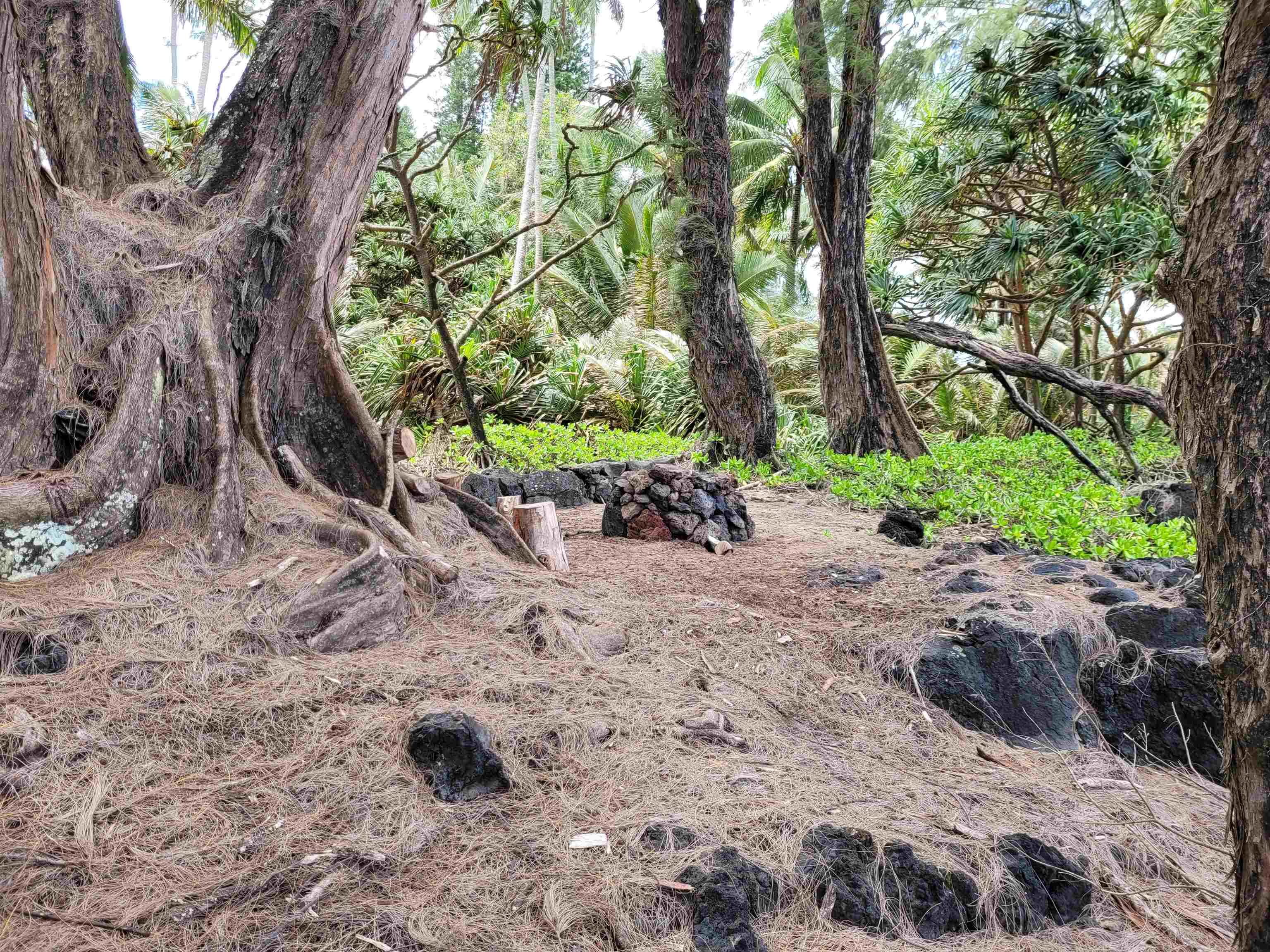 Keanae Road, Unit 12 Hana, HI 96713 - Photo 38 of 50