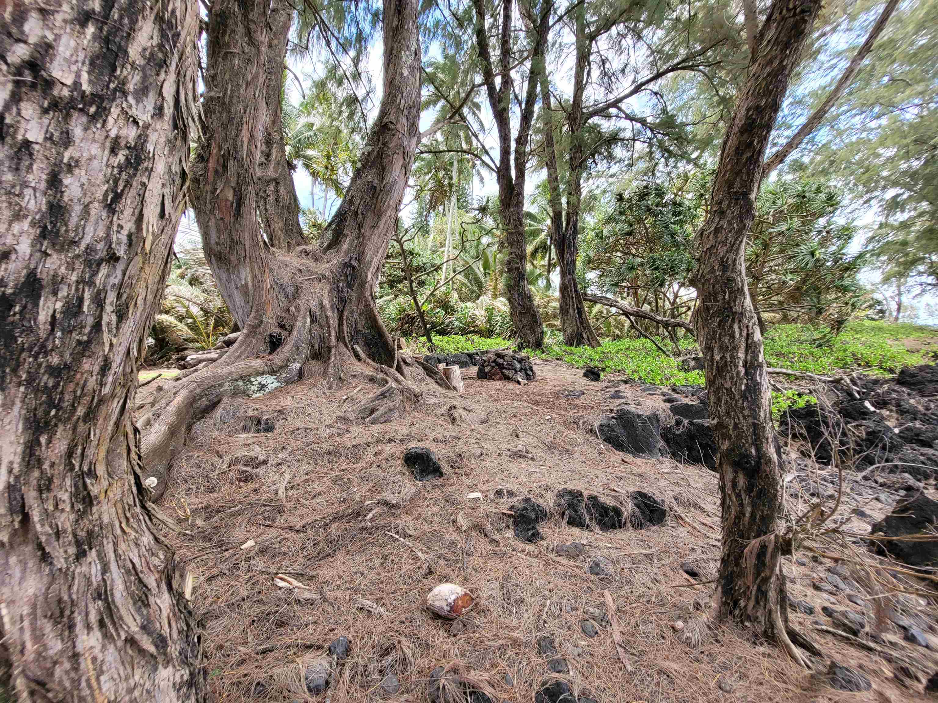 Keanae Road, Unit 12 Hana, HI 96713 - Photo 39 of 50