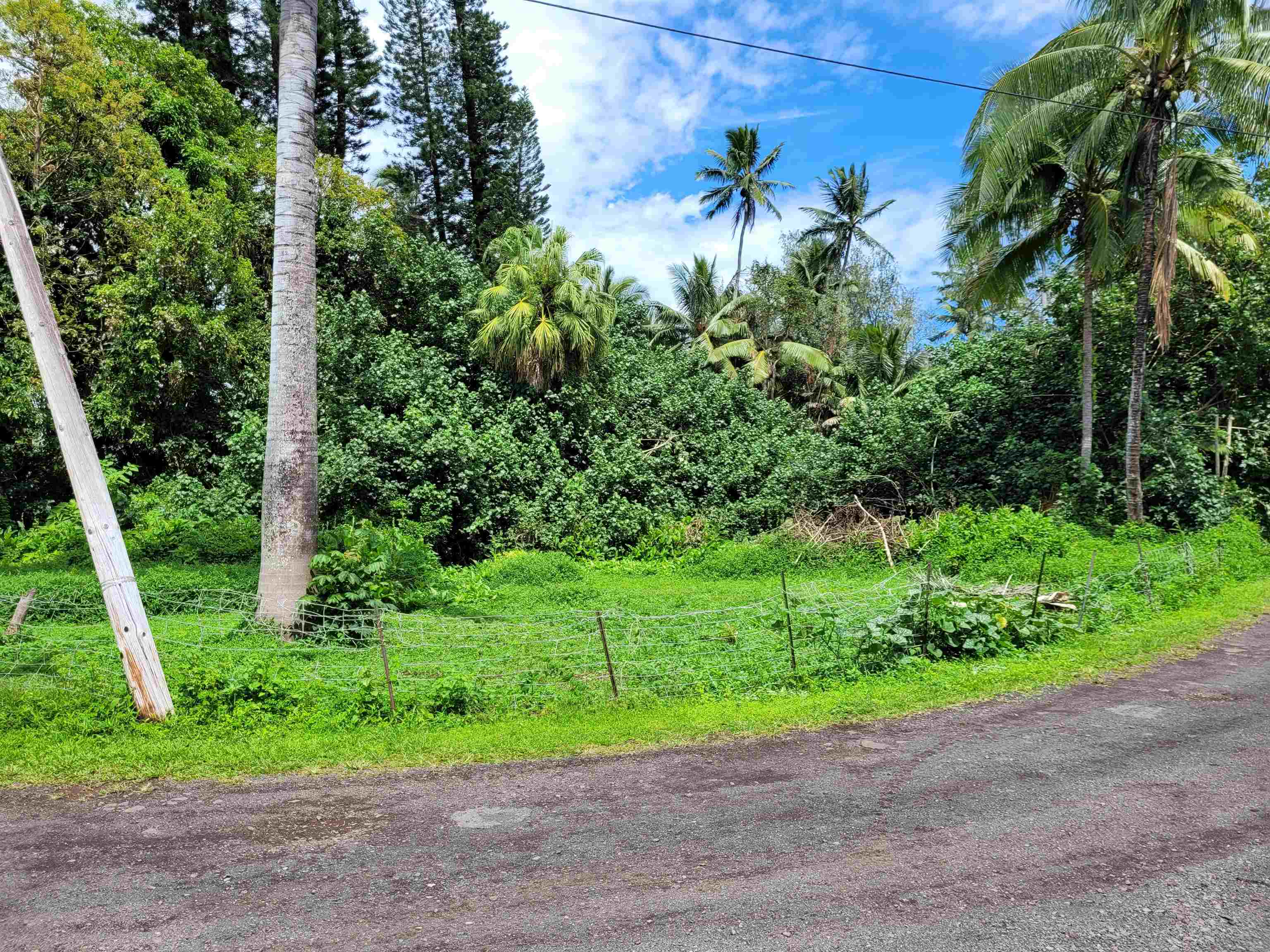Keanae Road, Unit 12 Hana, HI 96713 - Photo 40 of 50