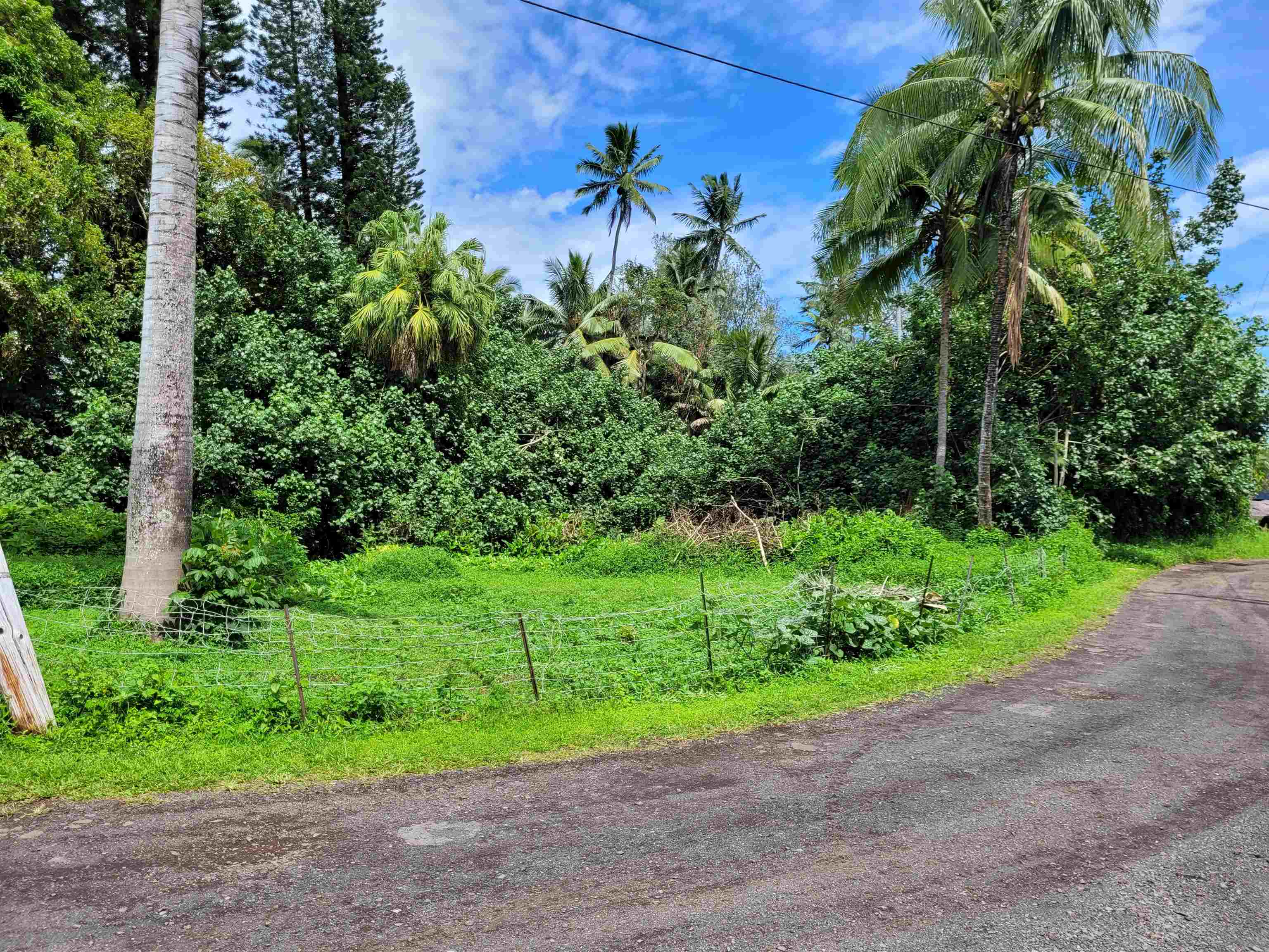 Keanae Road, Unit 12 Hana, HI 96713 - Photo 41 of 50