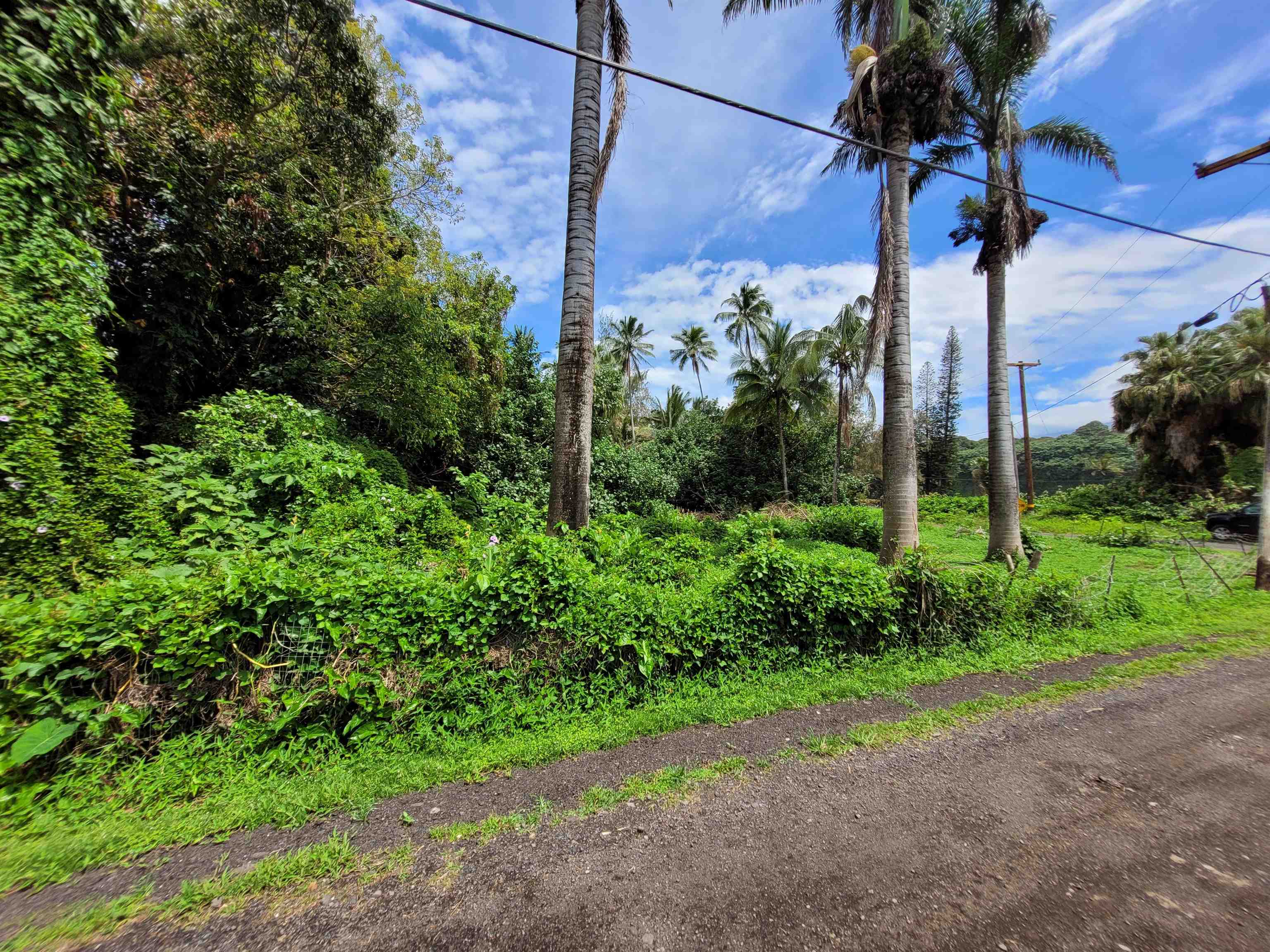 Keanae Road, Unit 12 Hana, HI 96713 - Photo 42 of 50
