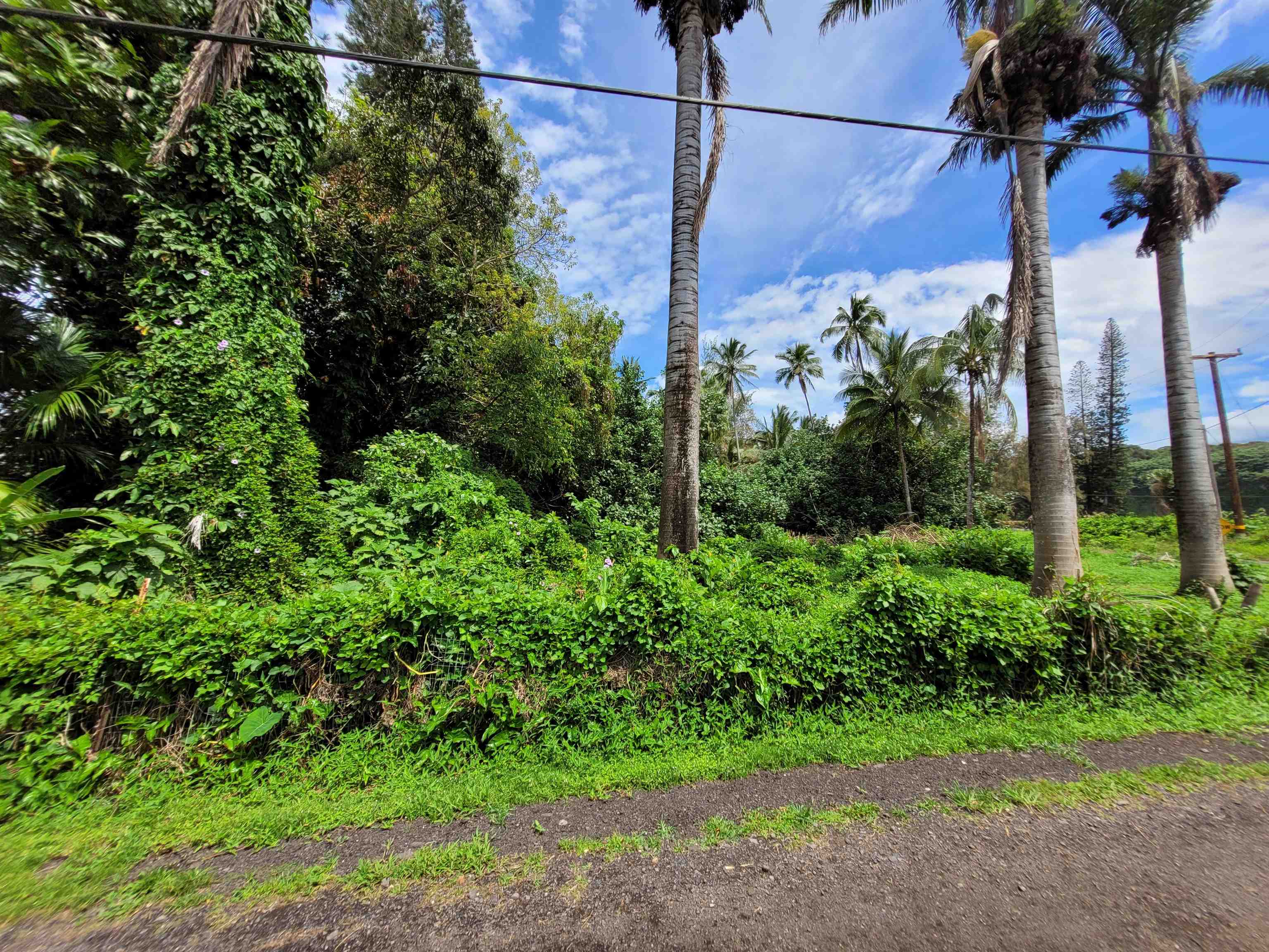 Keanae Road, Unit 12 Hana, HI 96713 - Photo 43 of 50